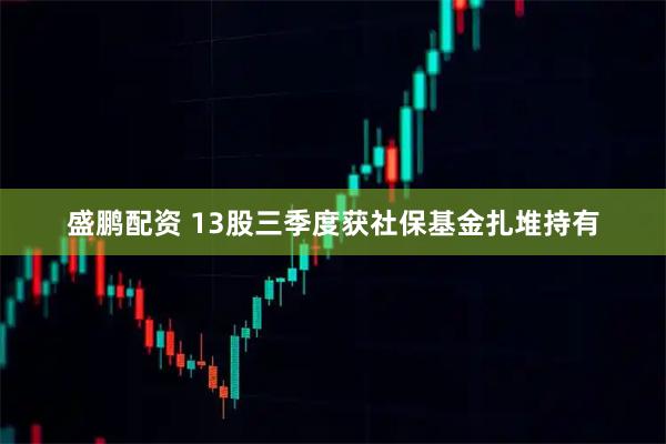 盛鹏配资 13股三季度获社保基金扎堆持有