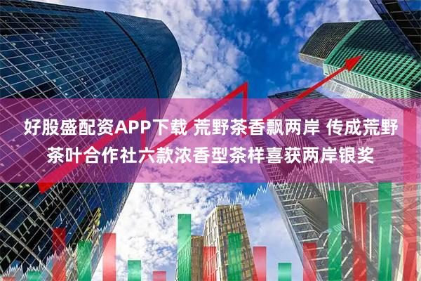 好股盛配资APP下载 荒野茶香飘两岸 传成荒野茶叶合作社六款浓香型茶样喜获两岸银奖