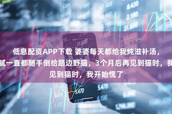低息配资APP下载 婆婆每天都给我炖滋补汤，我嫌太油腻一直都随手倒给路边野猫，3个月后再见到猫时，我开始慌了