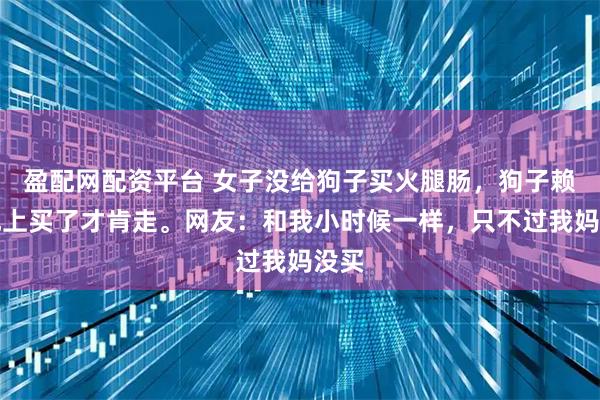 盈配网配资平台 女子没给狗子买火腿肠，狗子赖在地上买了才肯走。网友：和我小时候一样，只不过我妈没买