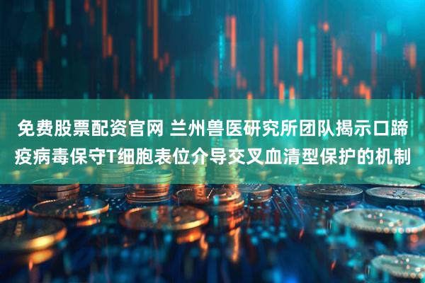 免费股票配资官网 兰州兽医研究所团队揭示口蹄疫病毒保守T细胞表位介导交叉血清型保护的机制