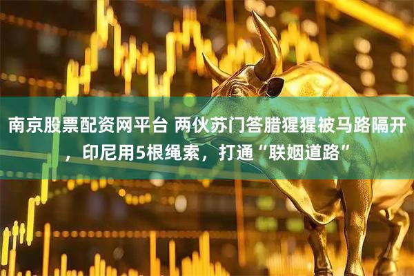 南京股票配资网平台 两伙苏门答腊猩猩被马路隔开，印尼用5根绳索，打通“联姻道路”