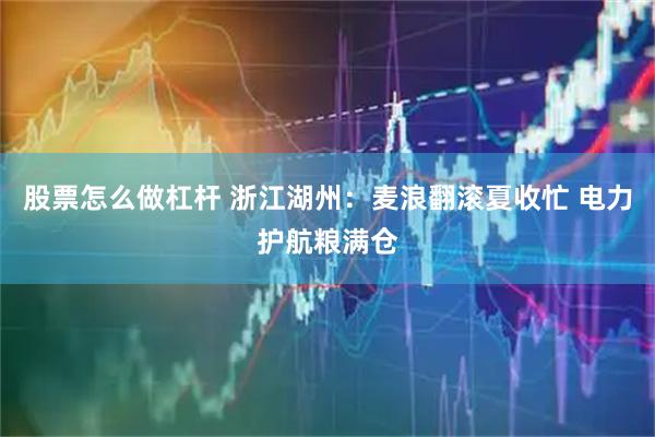股票怎么做杠杆 浙江湖州:麦浪翻滚夏收忙 电力护航粮满仓