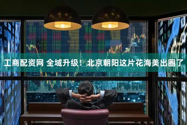 工商配资网 全域升级！北京朝阳这片花海美出圈了
